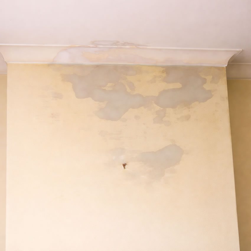 damp patches on chimney breast - leaking chimney