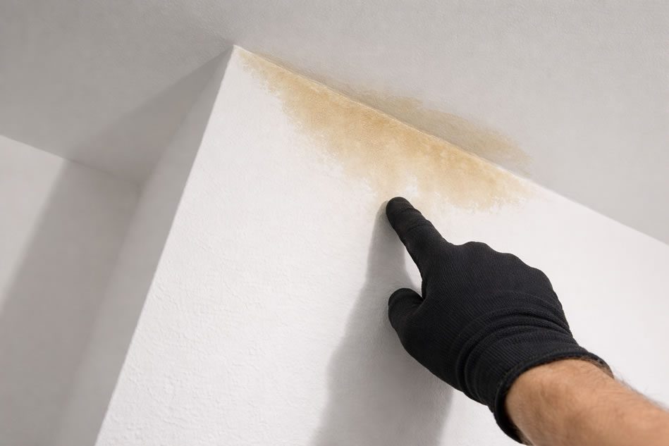 leaking chimney water stain on chimney breast